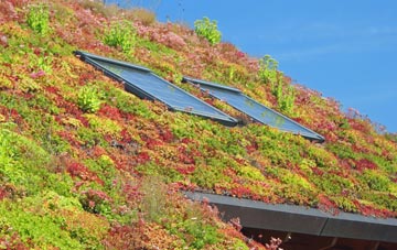 Llan Y Pwll living roof systems