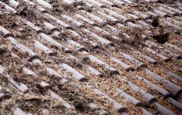 Llan Y Pwll roof cleaning companies